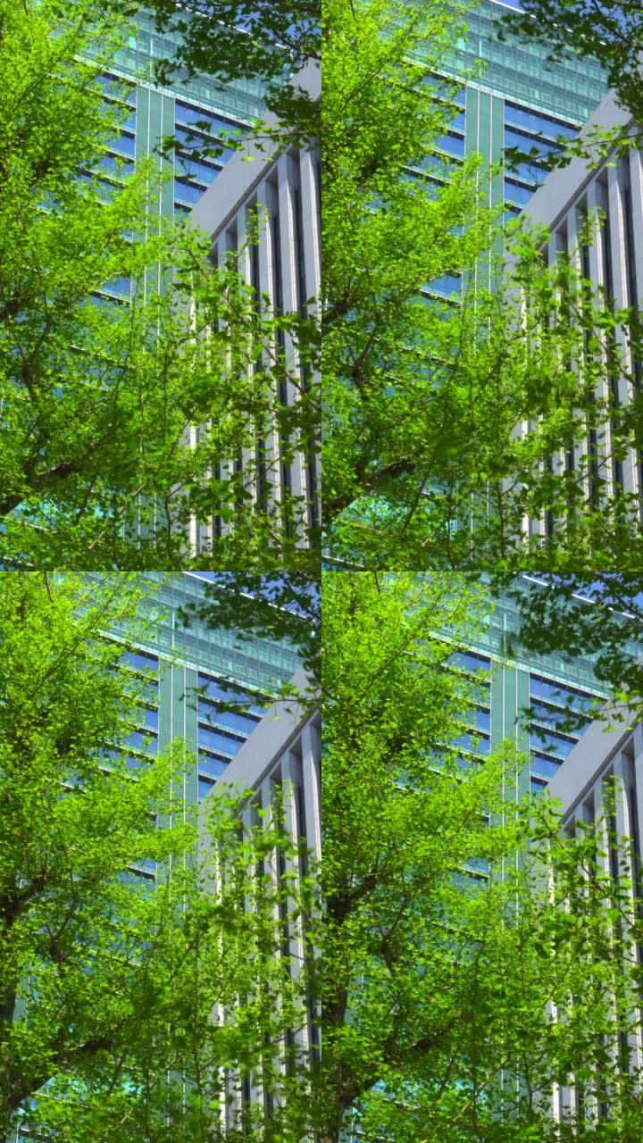 现代办公楼和树木景点