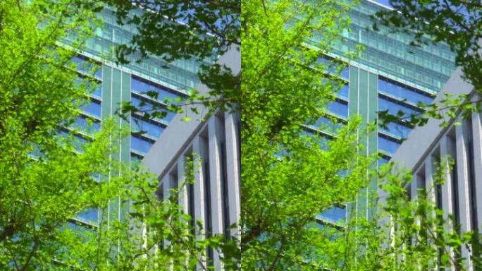 现代办公楼和树木景点