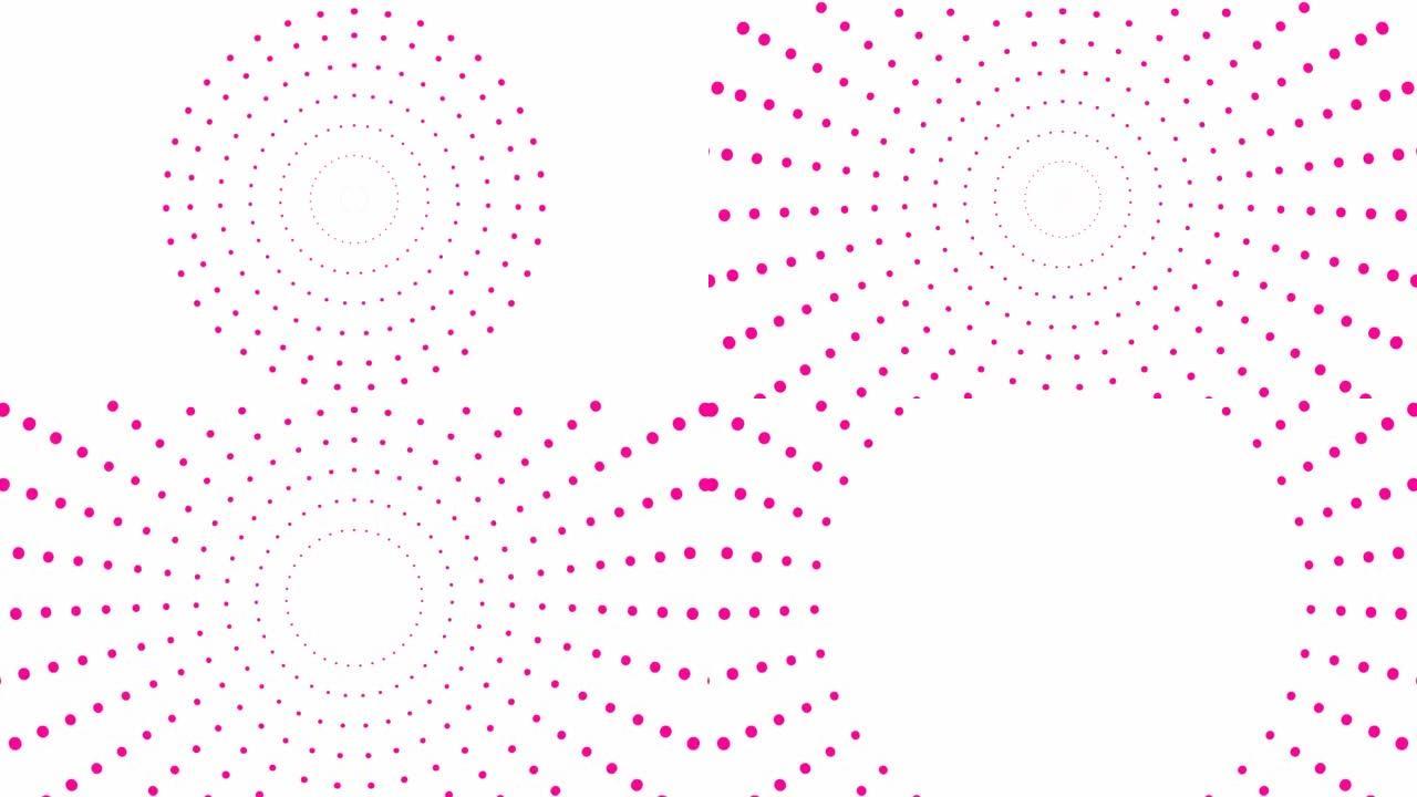从中心开始动画增加粉红色的圆点。矢量插图孤立在白色背景上。