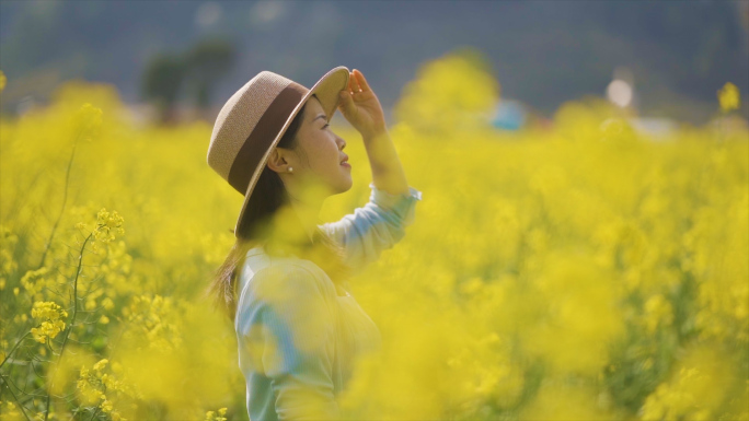 唯美清新美女手摸油菜花亲近自然文艺青年