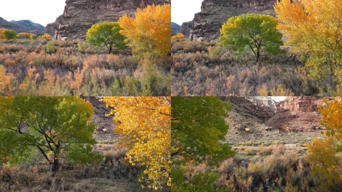 秋天期间，穿过五颜六色的树木穿越九英里峡谷
