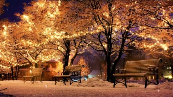 圣诞节期间公园积雪的静态视频-积雪覆盖的长凳和树木
