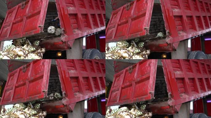 红色卡车卸载龙舌兰用于制造龙舌兰酒