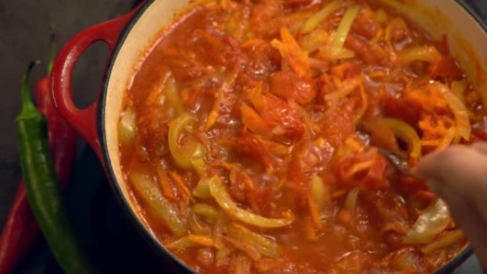 用勺子炖菜的手搅动的俯视图在平底锅的炉子上煮