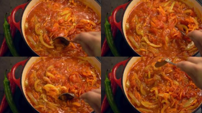 用勺子炖菜的手搅动的俯视图在平底锅的炉子上煮
