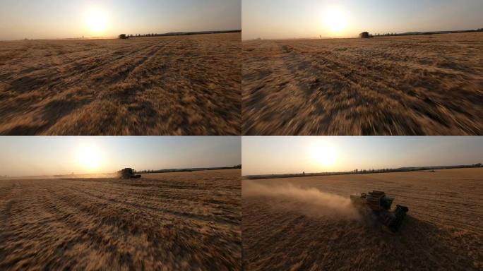 FPV无人机在收割的田地上低空飞向现代联合收割机农业机器，晚上在麦田上收获金色成熟的灰尘。
