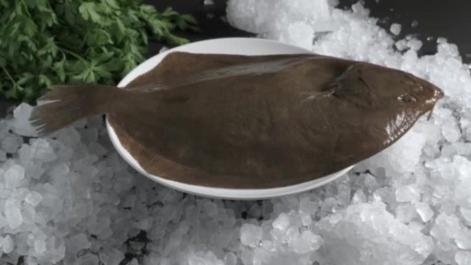 新鲜的大菱鲆被冰包围的视频。健康营养理念。