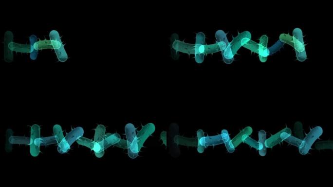 冠状病毒2019-nCov流感毒株和大流行。微生物和微生物