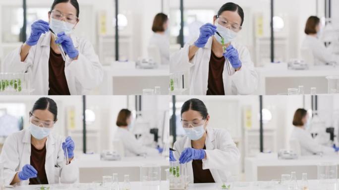 女科学家，科学实验室和生物测试工厂的化学效益，自然保健解决方案和医疗创新。亚洲女士，实验室工作安全手