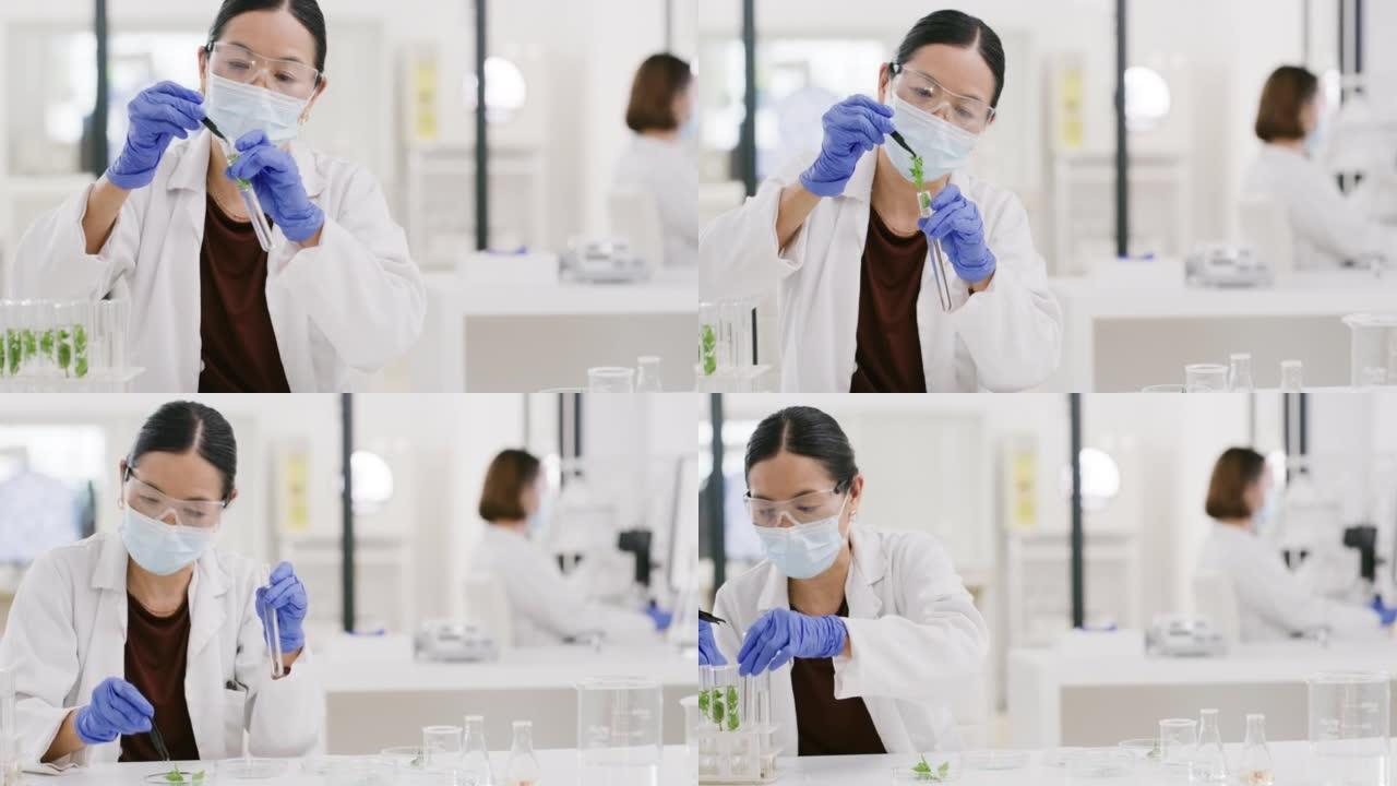 女科学家，科学实验室和生物测试工厂的化学效益，自然保健解决方案和医疗创新。亚洲女士，实验室工作安全手