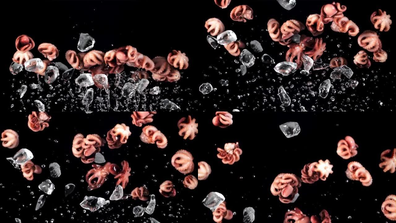 用冰煮开的章鱼上升和下降。拍摄的是1000 fps的慢动作。