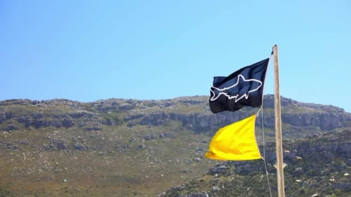 蓝鲨旗和风中的黄旗，表示危险海洋生物的中等危险