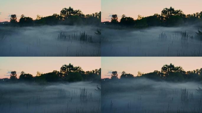 黄昏时分，厚厚的蓝色薄雾笼罩着森林的边缘
