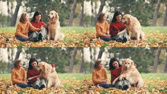 母女在秋季公园抚摸金色的rertriever狗