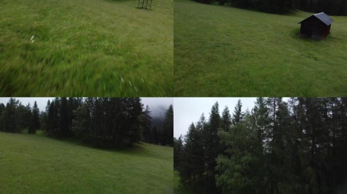 在草地上到乡村树木的无人机镜头