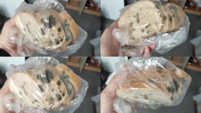发霉的面包装在一个透明的袋子里。面包上的霉菌
