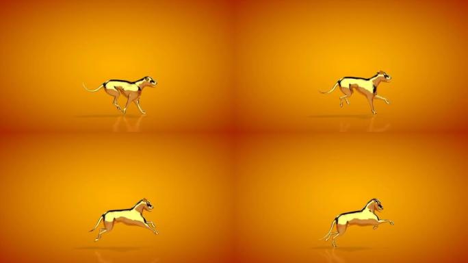 金毛猎犬跑步，无缝循环，橙色工作室