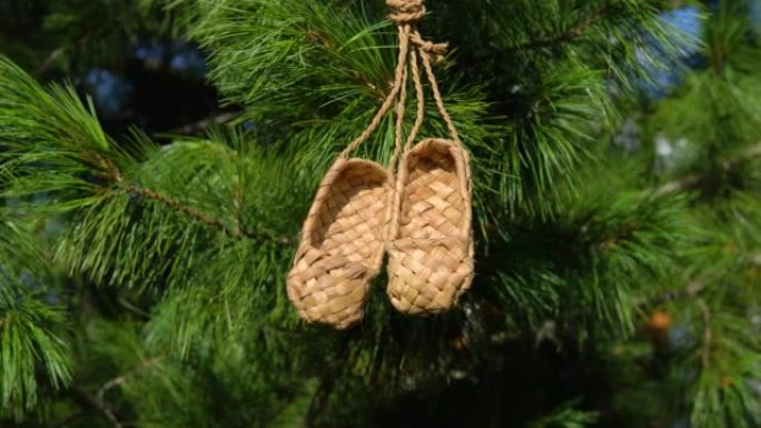 古董手工乡村鞋-韧皮鞋。一双挂在雪松或松木树枝上的韧皮鞋。