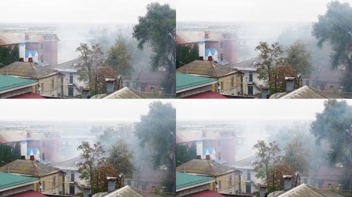火灾产生的烟雾或树叶和碎屑的燃烧上升到屋顶上方
