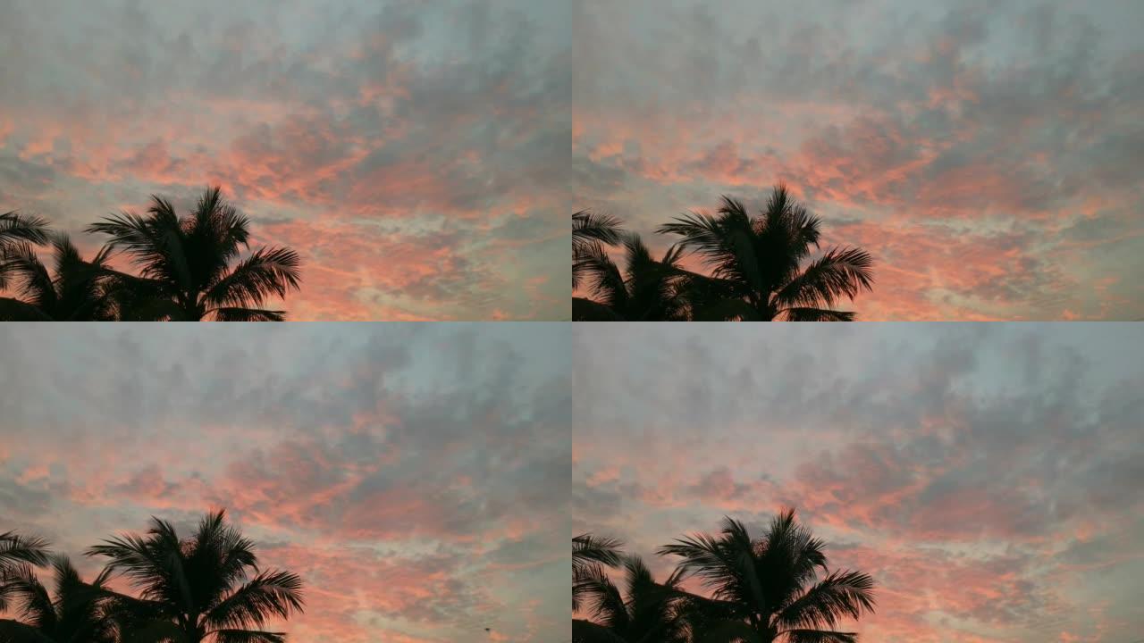 傍晚天空中唯美的粉红色日落