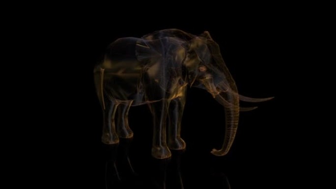 深色背景下低聚线框的大象。由点、线和形状组成的多边形视频。虚拟空间中的无缝循环运动动画
