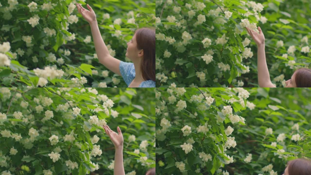 女孩在绿色的春天花园里抚摸着茉莉花的白花，在户外的大自然中漫步