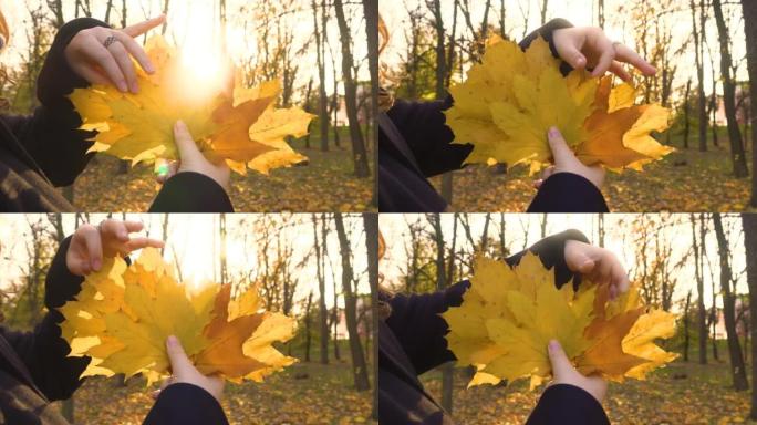 秋天的森林。手捧黄叶的女孩 (特写)