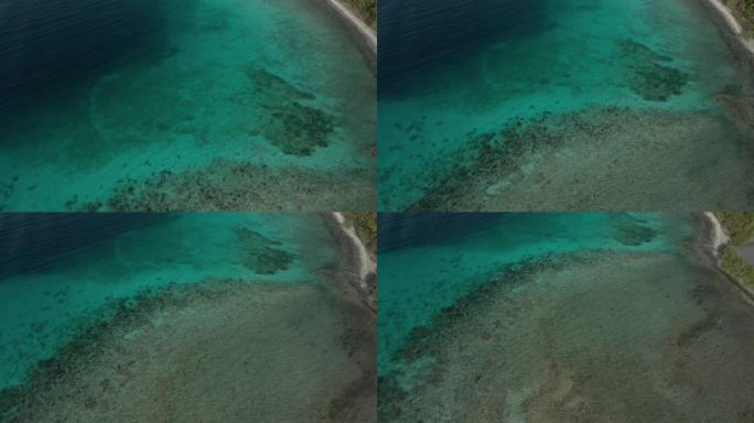 在美属维尔京群岛圣约翰的蓝水浮潜。