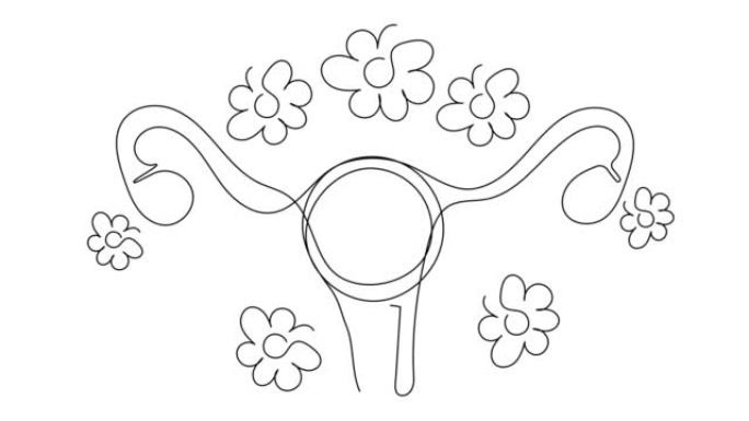 在白色屏幕上单行开花的女人子宫的自画。