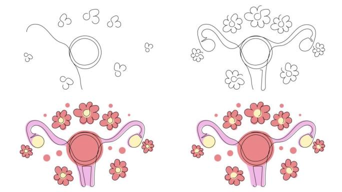 在白色屏幕上单行开花的女人子宫的自画。