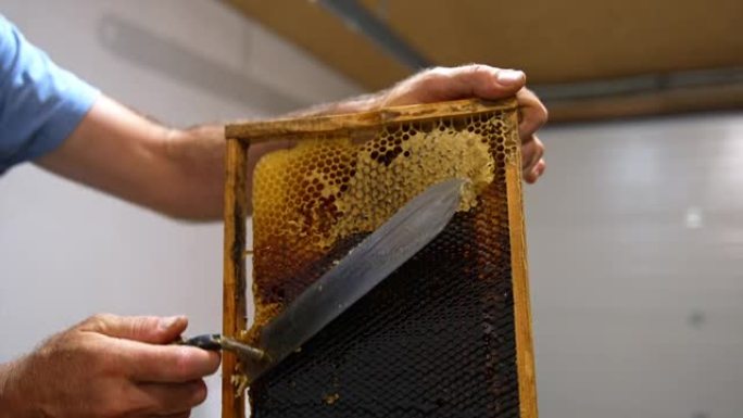 蜂场蜂蜜提取方便的蜂蜜框架的制备。男人拿着一个框架，用电刀切开蜂窝的顶部。