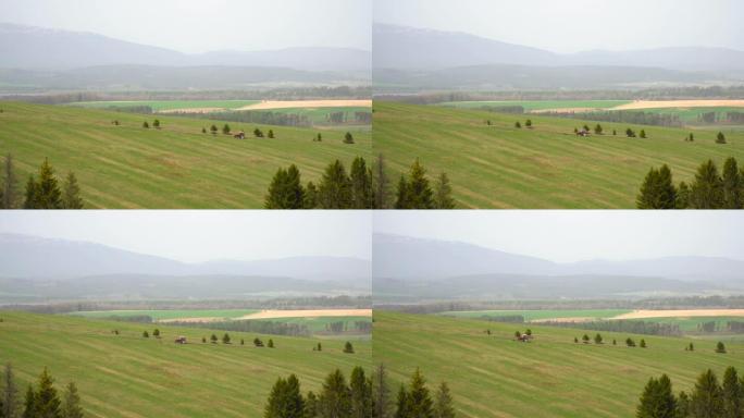 拖拉机穿过田野的乡村景象，斯洛伐克