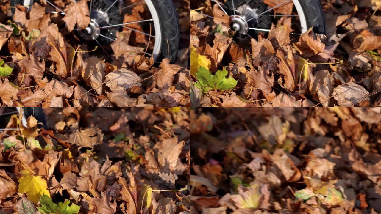 婴儿车车轮和轮胎的特写镜头在秋天滚动着一大堆五颜六色的叶子。