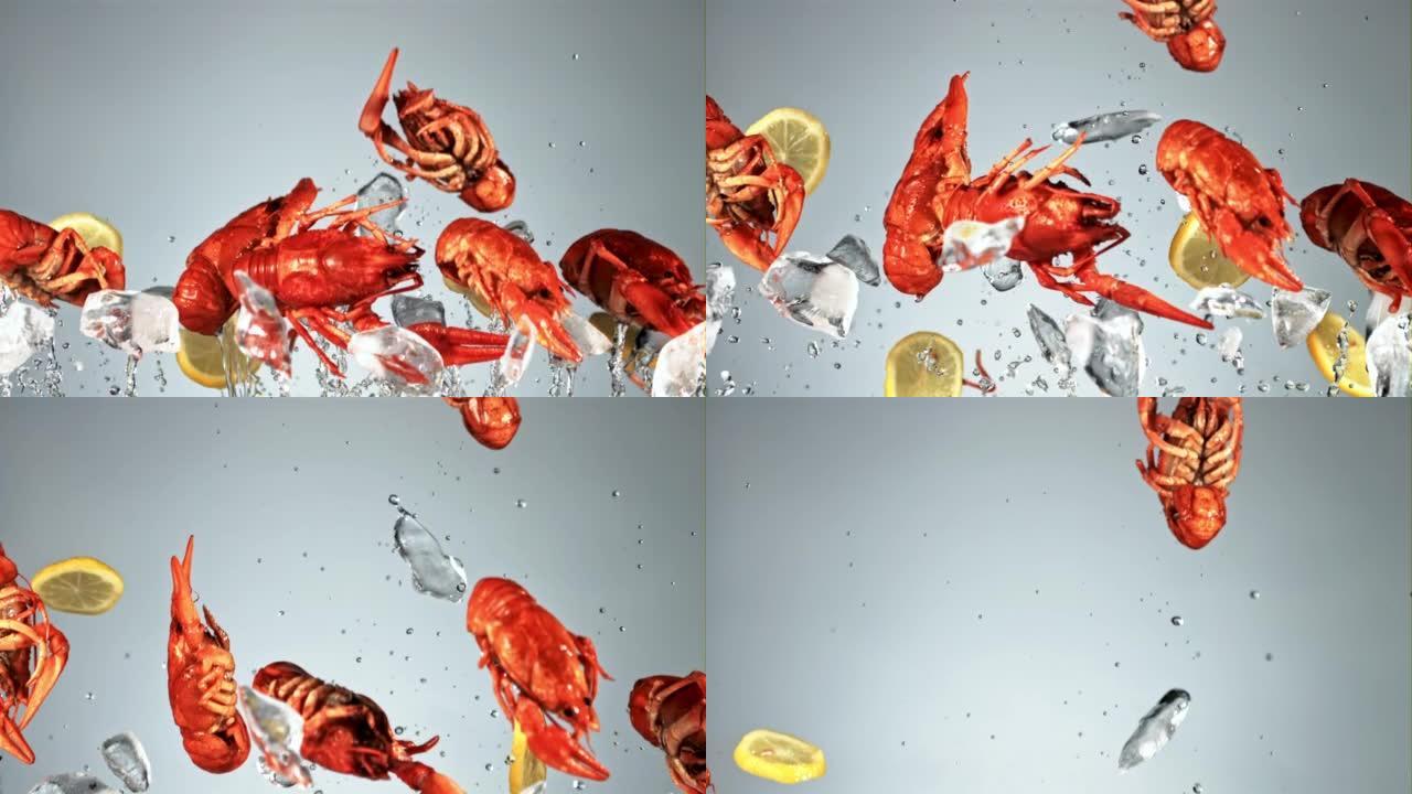 带有柠檬片和冰片的小龙虾飞起来并掉下来。拍摄的是1000 fps的慢动作。
