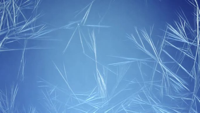 雪片或霜晶的延时减慢在玻璃上的形成。