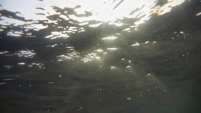 水面从下面。重点关注水中漂浮的沙粒、磷虾和气泡，这些沙粒被太阳光线背光照射。靠近水面和水深的气泡。版