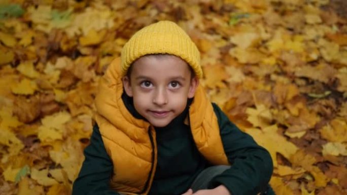 一个有趣的男孩的肖像，没有两颗牙齿，秋天坐在枫叶大自然中。他穿着黄色背心，针织帽和绿色毛衣。