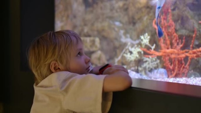 小男孩在水族馆看鱼。儿童探索探索海洋的世界。小学生正在海洋馆游览。