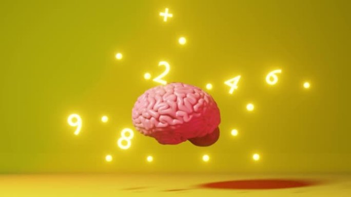 人脑数字数学符号黄色背景3d动画。国际数学科学日代数学习技巧教育记忆提高微积分分析操作记忆