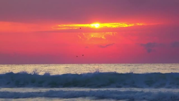 海洋和海滩上美丽的日出，自由飞鸟。灼热的太阳正从海浪中升起。