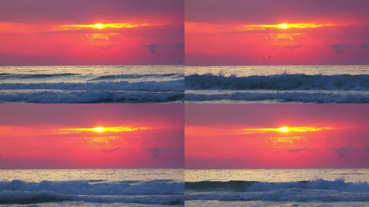 海洋和海滩上美丽的日出，自由飞鸟。灼热的太阳正从海浪中升起。