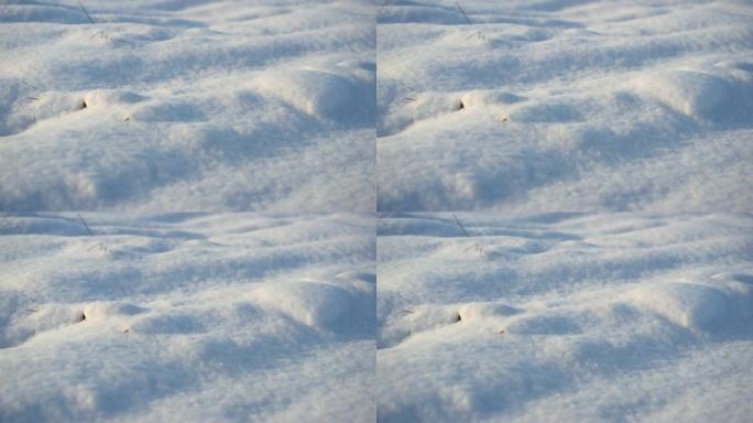 白天白雪散落的特写镜头。积雪覆盖的雪堆。