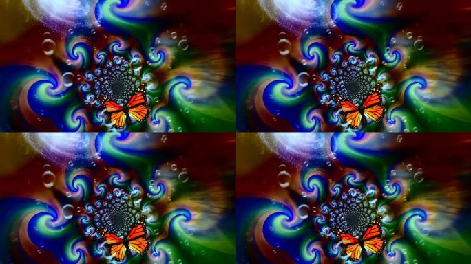 彩色运动的流体线流动背景蝴蝶mg动画