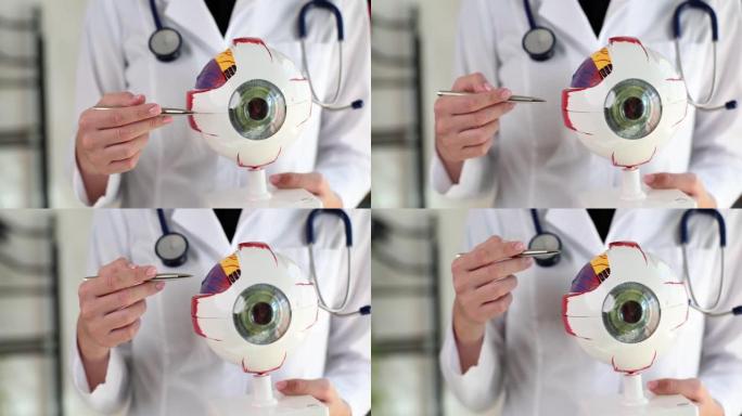 眼科医生正在保存人眼的解剖结构并解释眼睛的一部分