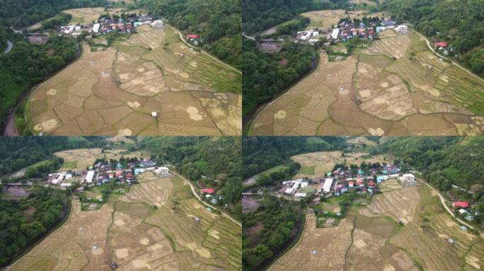 空中看稻田梯田，山上有水稻种植