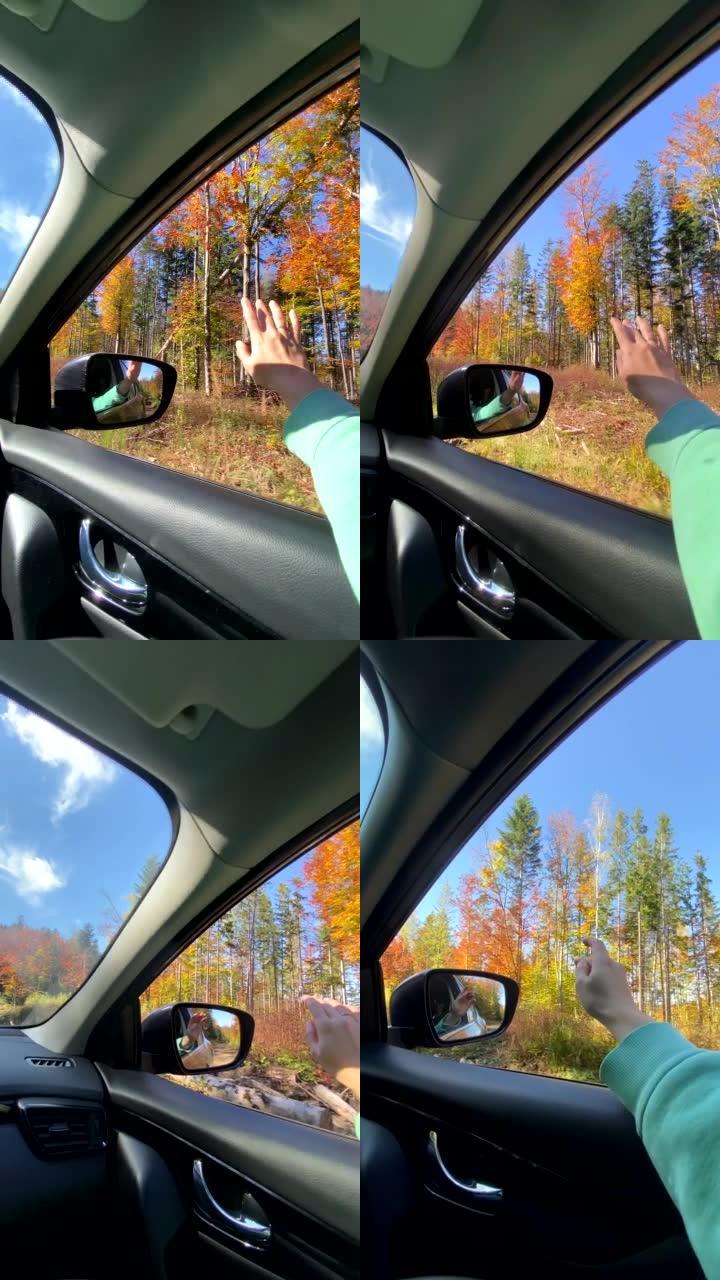 视角女人在车里享受秋天森林的景色