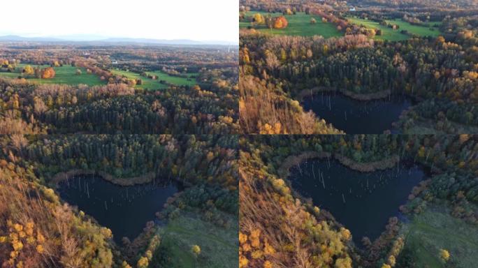 空中拍摄心形湖泊和周围五颜六色的树木在秋天。深蓝色的水与树木的橙色，红色形成对比。捷克共和国卡尔维纳