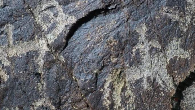 近距离拍摄的古代岩画可以追溯到8000年前在巴彦乌尔吉附近的蒙古西部