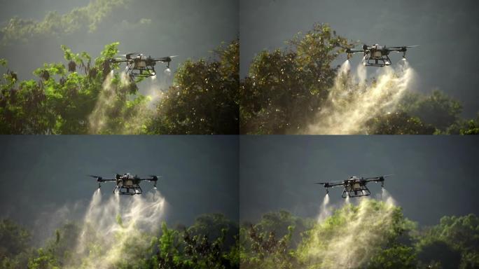 无人机在稻田上喷洒化学药品。
