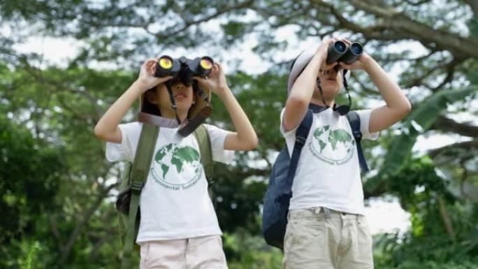 老师带着孩子们在雨林里进行了一次实地考察，用望远镜观察生活在树上的动物，鼓励孩子们学会如何与自然和谐